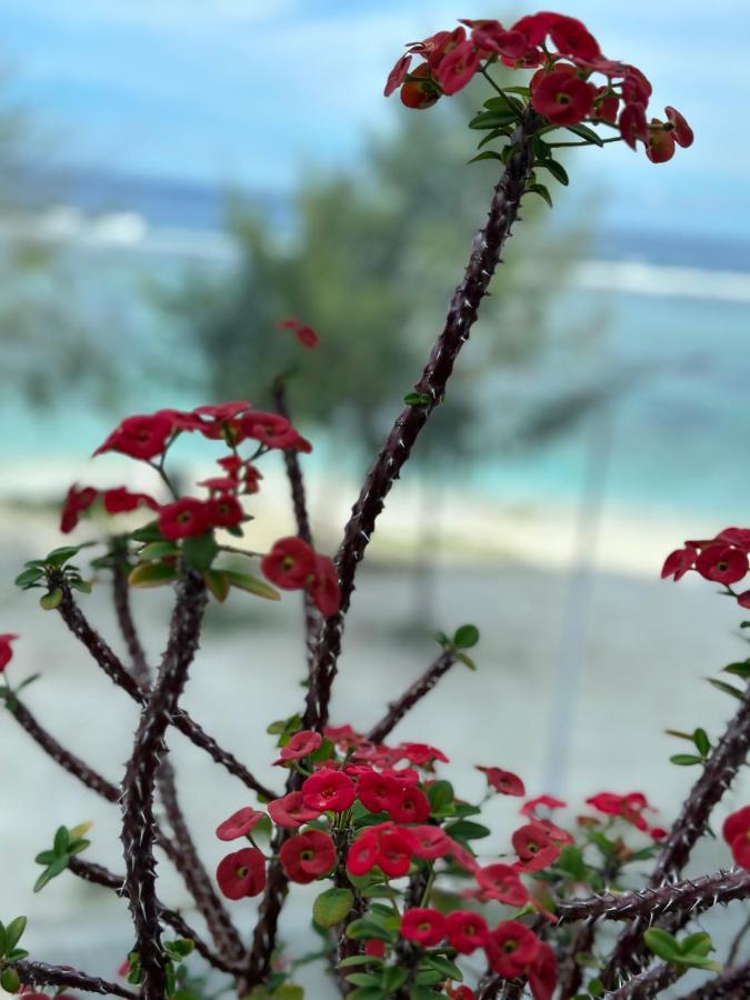 Lazzlla Beach Front Apartments Hulhumale Dış mekan fotoğraf